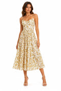 female   dress